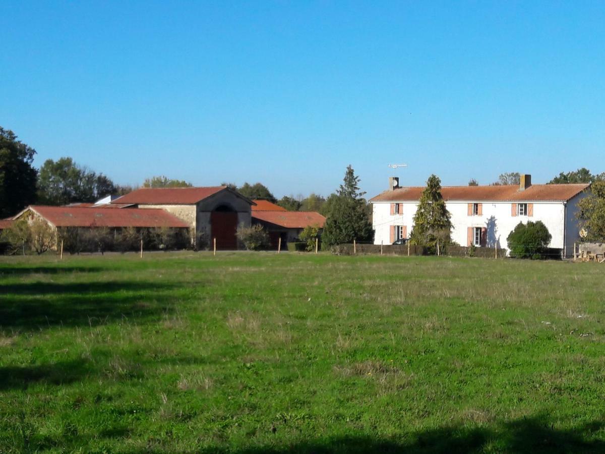 Domaine De La Sauzaie Bed & Breakfast La Pommeraie-sur-Sèvre Eksteriør bilde